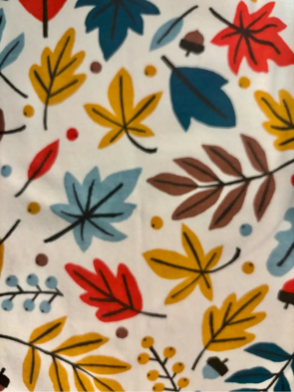 Pair of Hanna Andersson PJ Tops - Size 10 Christmas & Size 12 Fall